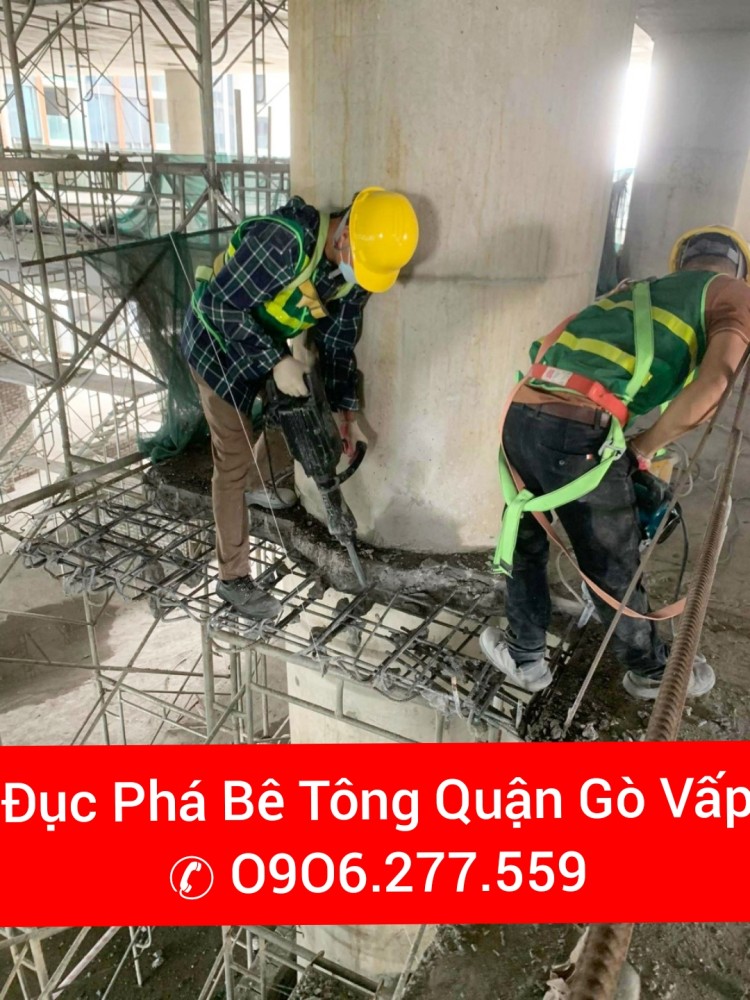 Duc Be Tong Quan Go Vap